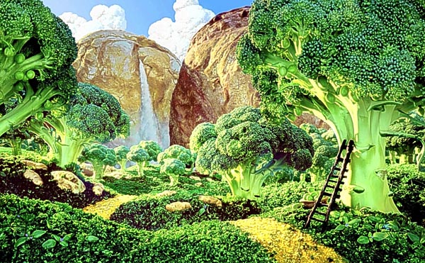 Broccoli Forest